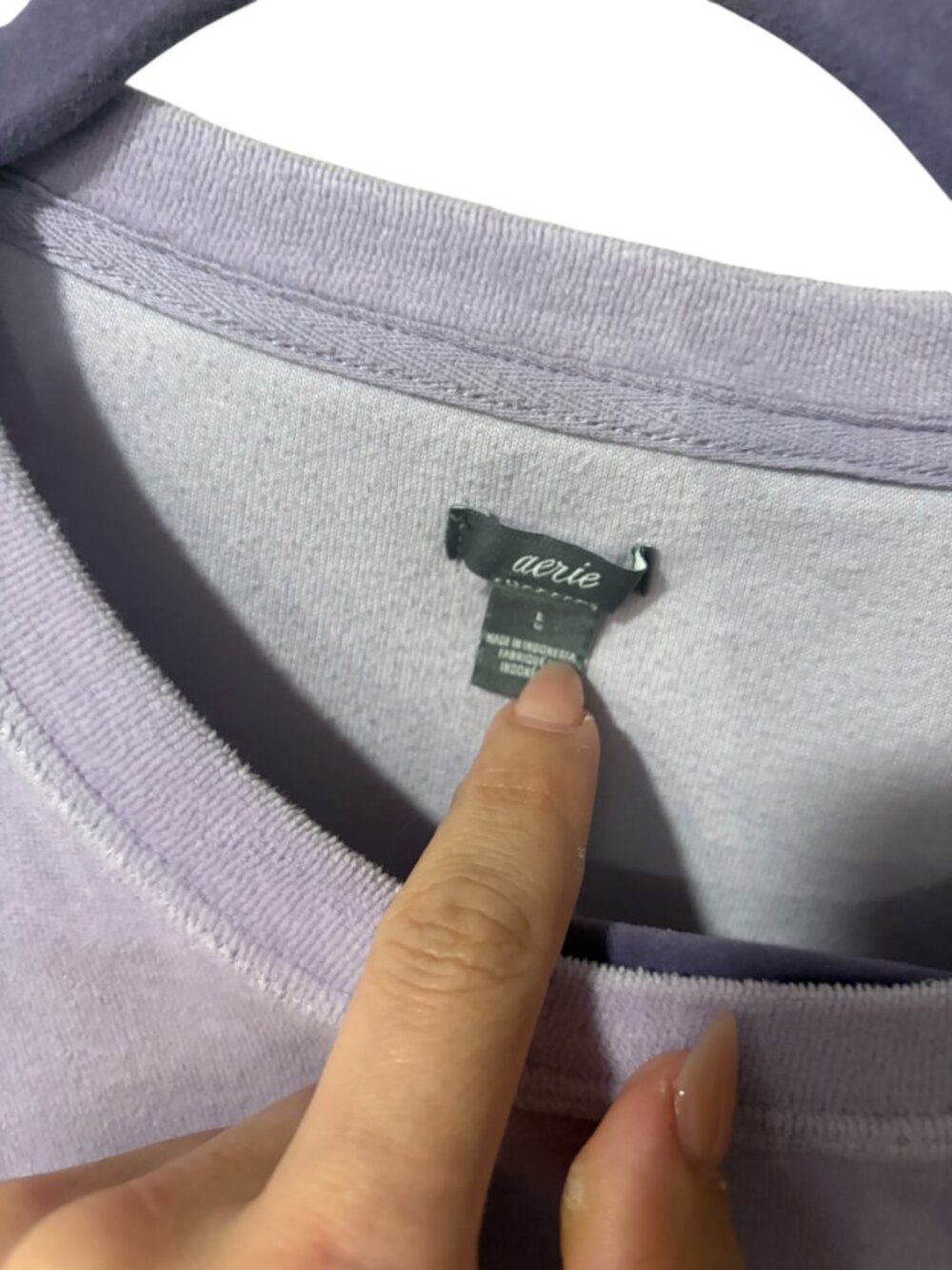 Aerie Velour Crewneck Sweatshirt - Picture 4 of 5